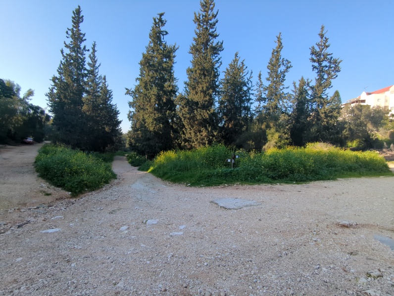 קובץ:2024-02-07T15 31 22.038175912610.jpg