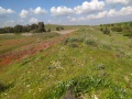 תמונה ממוזערת לגרסה מתאריך 11:26, 9 בפברואר 2024