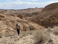 תמונה ממוזערת לגרסה מתאריך 10:11, 18 בפברואר 2024