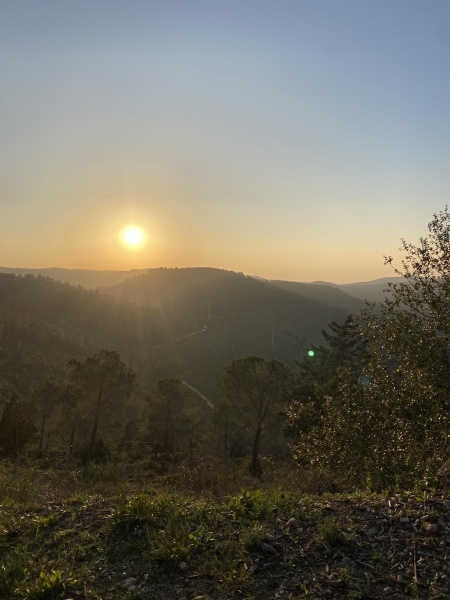 קובץ:2024-02-21T17 06 09.301868874256.jpg