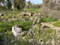 תמונה ממוזערת לגרסה מתאריך 13:48, 26 בפברואר 2024