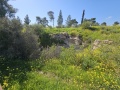 תמונה ממוזערת לגרסה מתאריך 12:07, 28 בפברואר 2024