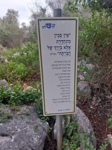 קובץ:2024-03-16T16 40 41.180455984265.jpg