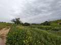 תמונה ממוזערת לגרסה מתאריך 12:46, 17 במרץ 2024