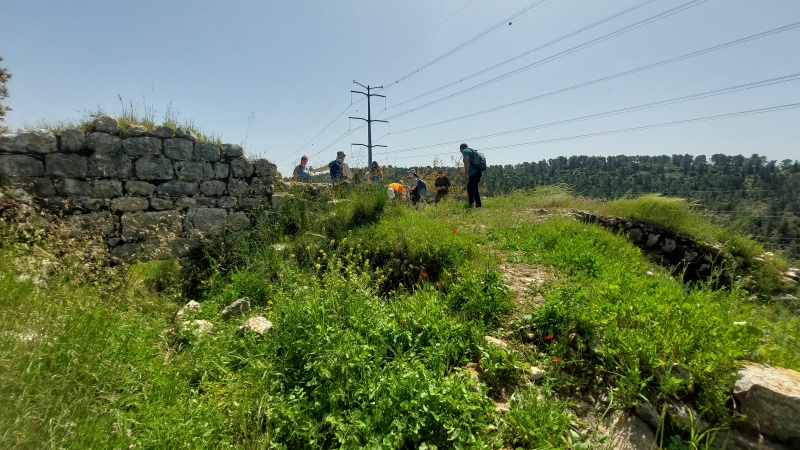 קובץ:2024-03-30T11 16 10.256109929336.jpg