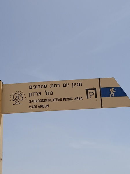 קובץ:2024-04-01T12 08 14.538941640096.jpg