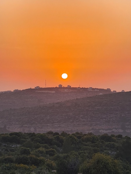 קובץ:2024-04-10T10 36 24.999019342774.jpg