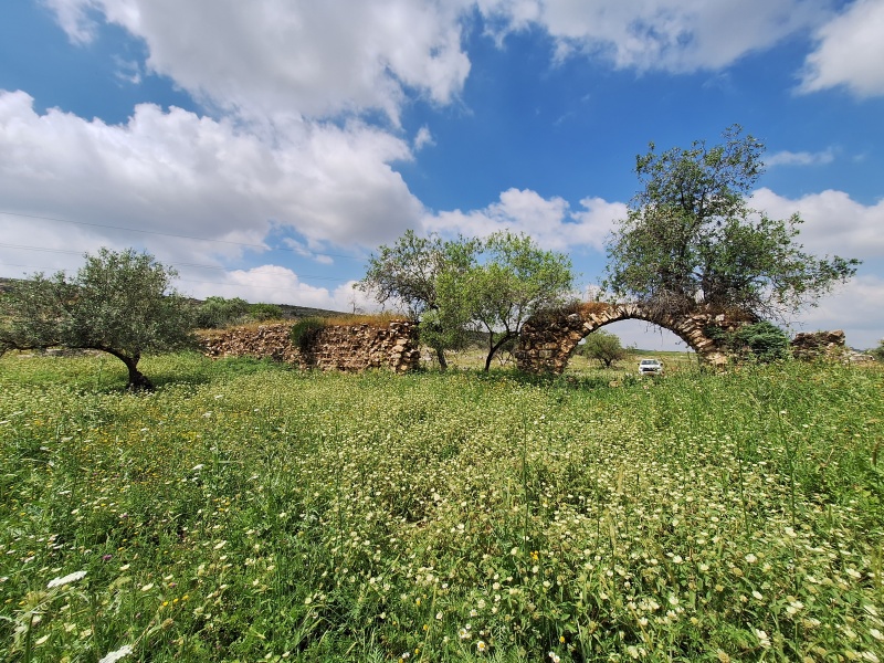 קובץ:2024-04-11T11 58 49.497333391858.jpg