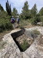 תמונה ממוזערת לגרסה מתאריך 10:42, 27 באפריל 2024