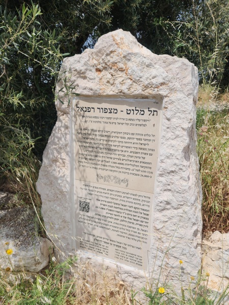 קובץ:2024-04-28T13 53 28.411545527856.jpg