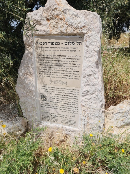 קובץ:2024-04-28T13 54 15.24074638427.jpg