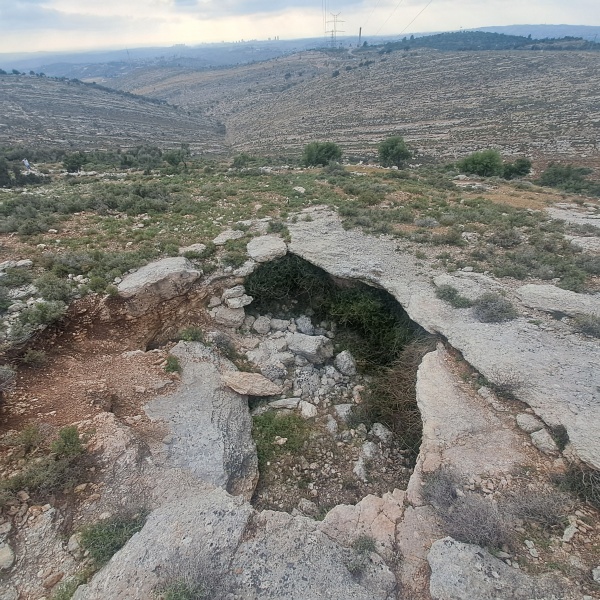 קובץ:2024-05-02T18 05 26.263047843872.jpg