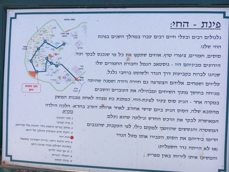 קובץ:2024-05-04T16 44 33.820496741222.jpg