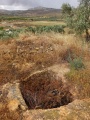 תמונה ממוזערת לגרסה מתאריך 09:04, 10 במאי 2024