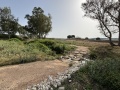 תמונה ממוזערת לגרסה מתאריך 06:09, 28 באוגוסט 2024