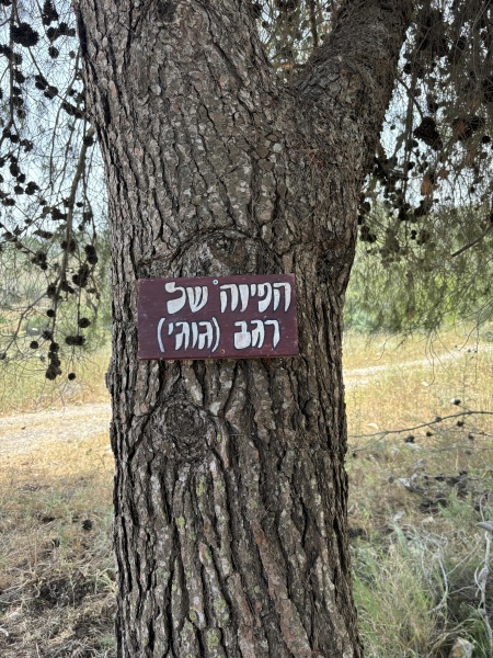 קובץ:2024-05-23T11 04 22.43886321042.jpg