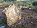 תמונה ממוזערת לגרסה מתאריך 14:39, 24 במאי 2024