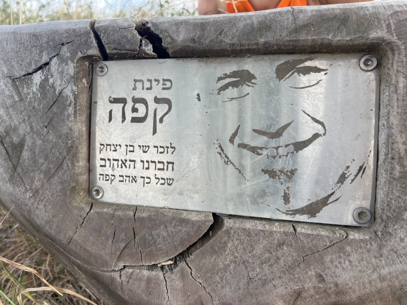 קובץ:2024-05-25T09 47 13.64953996933.jpg