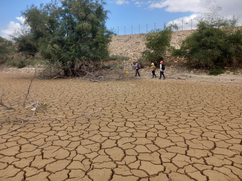 קובץ:2024-05-25T12 10 10.711201870648.jpg