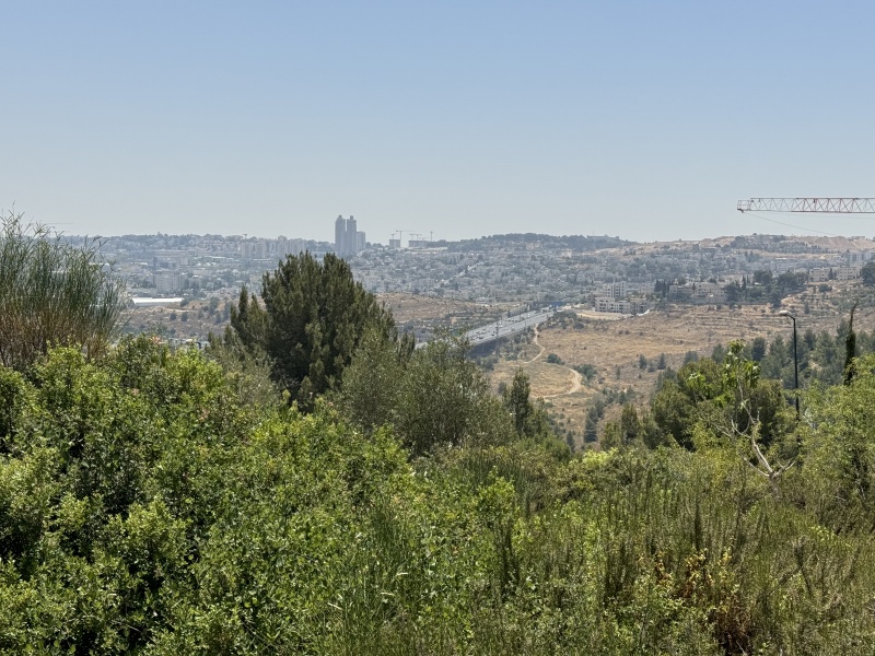 קובץ:2024-06-04T18 44 28.142037611287.jpg