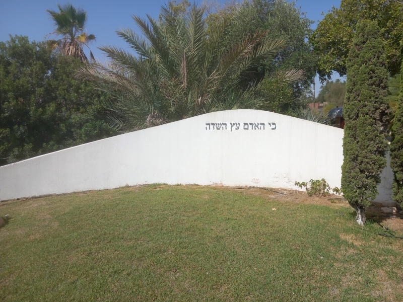 קובץ:2024-06-15T09 06 50.482165920376.jpg