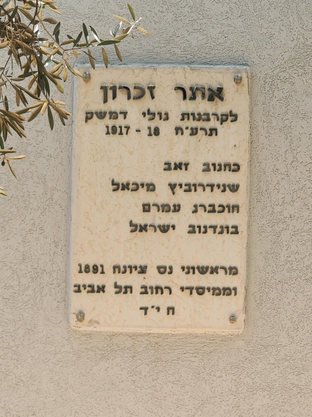 קובץ:2024-06-18T13 13 55.98422242891.jpg