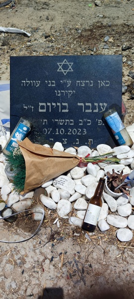 קובץ:2024-06-23T12 31 27.957569864924.jpg