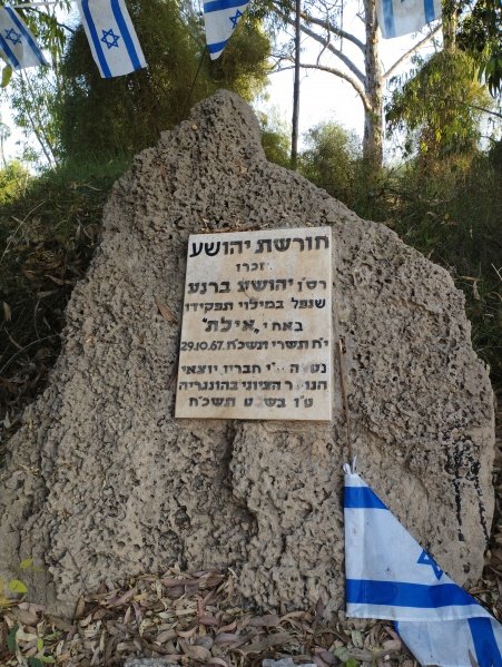 קובץ:2024-07-04T06 32 42.959198312566.jpg