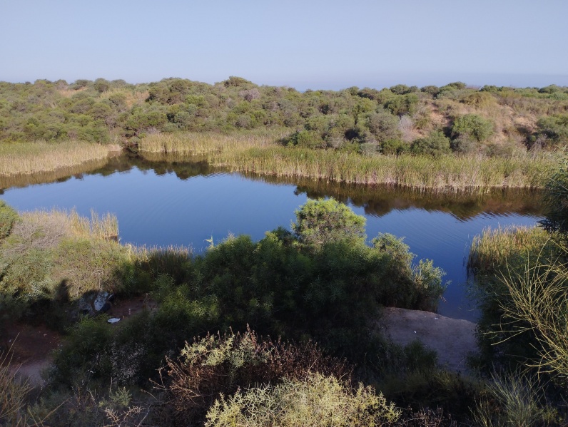 קובץ:2024-07-04T07 30 18.458360514123.jpg