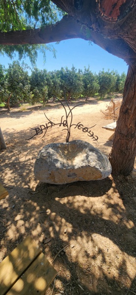 קובץ:2024-07-12T14 36 56.98520851279.jpg