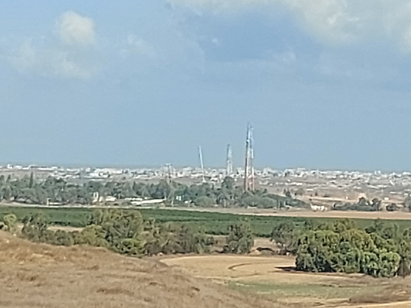 קובץ:2024-08-10T08 39 00.191056652611.jpg