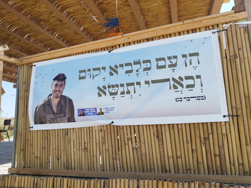 קובץ:2024-08-12T16 17 18.976428414313.jpg