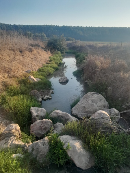 קובץ:2024-08-19T18 17 56.277955678784.jpg