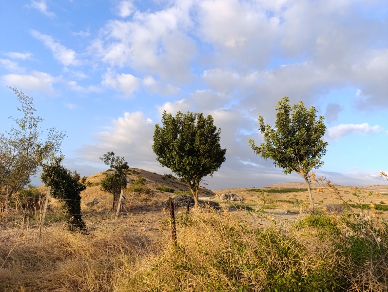 קובץ:2024-09-07T22 18 52.077071957124.jpg