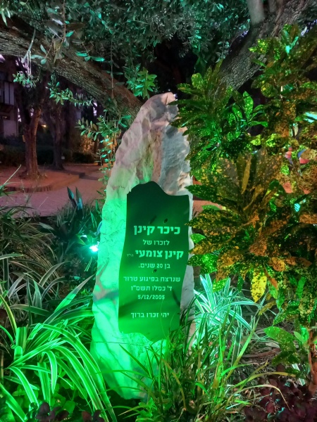 קובץ:2024-10-16T06 34 49.535249910593.jpg