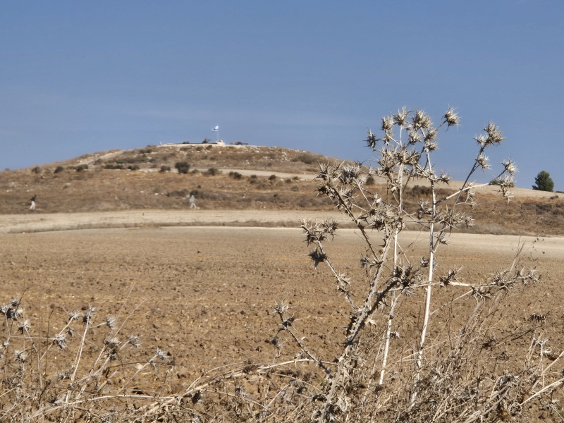 קובץ:2024-11-08T10 36 01.651815519238.jpg