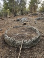 תמונה ממוזערת לגרסה מתאריך 12:51, 10 בנובמבר 2024