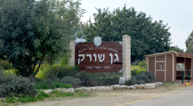 קובץ:2024-12-23T10 52 03.152192587363.jpg