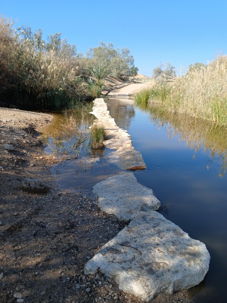 קובץ:2025-01-03T11 00 01.279171598422.jpg