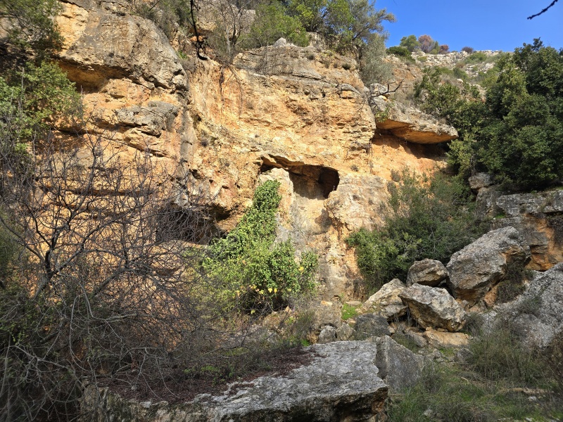 קובץ:2025-01-11T11 14 39.806158235942.jpg