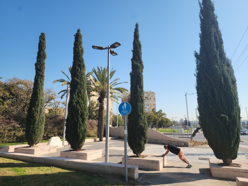 קובץ:2025-01-13T10 27 18.760036442298.jpg