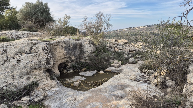 קובץ:2025-01-14T15 35 11.644178900147.jpg