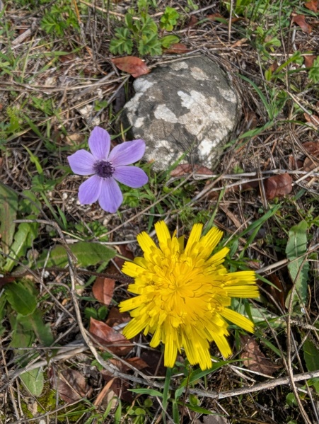 קובץ:2025-01-17T11 54 44.918012691126.jpg