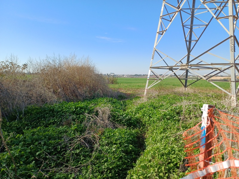 קובץ:2025-01-21T09 34 11.941023701052.jpg