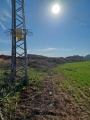 תמונה ממוזערת לגרסה מתאריך 07:21, 21 בינואר 2025