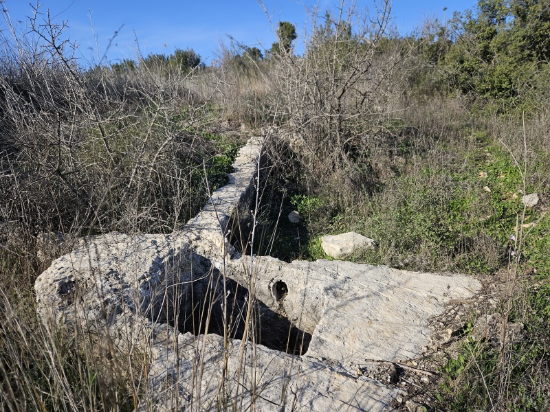 קובץ:2025-01-21T14 50 50.991419156781.jpg