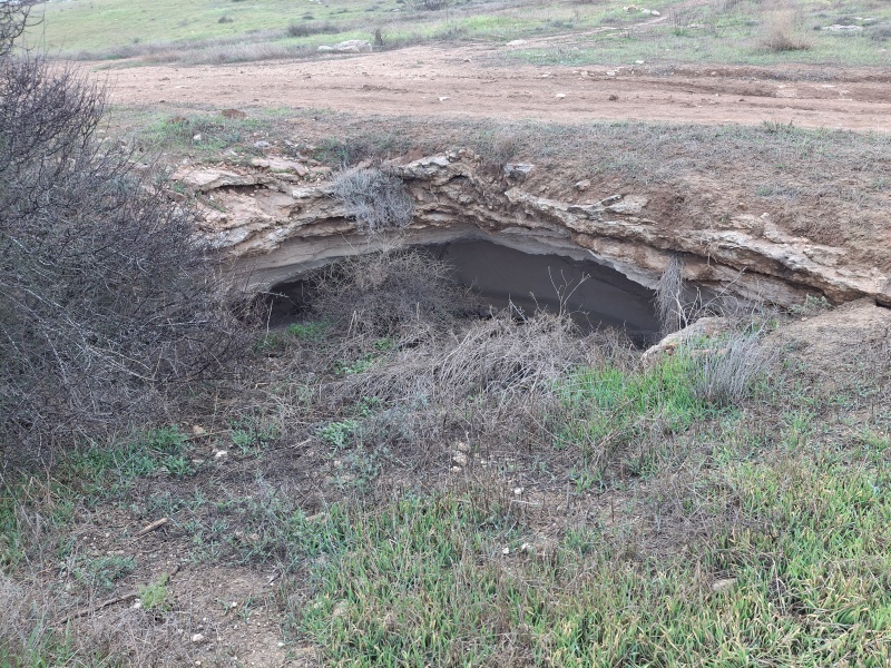קובץ:2025-01-24T07 59 50.901637764389.jpg