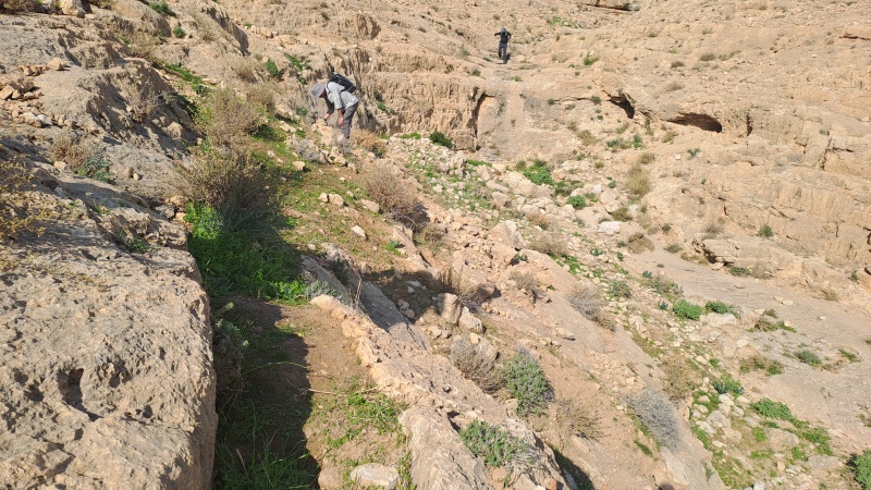 קובץ:2025-01-24T10 12 57.538646801159.jpg
