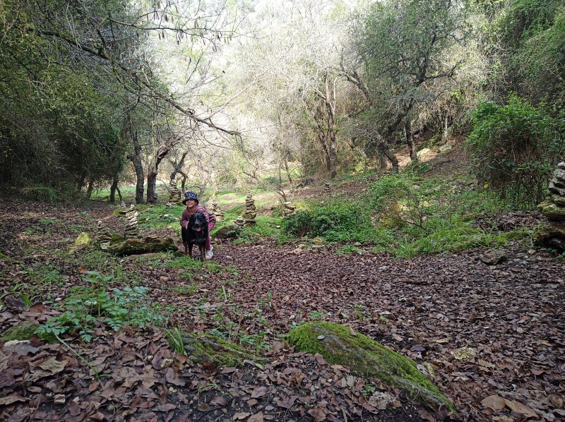 קובץ:2025-01-25T11 09 36.725201225312.jpg
