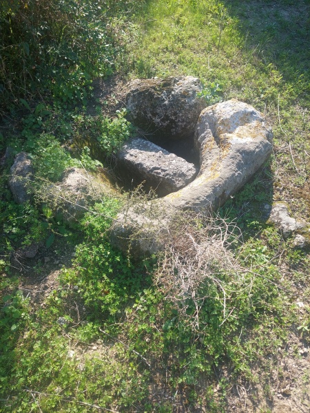 קובץ:2025-01-25T14 02 08.895260639547.jpg